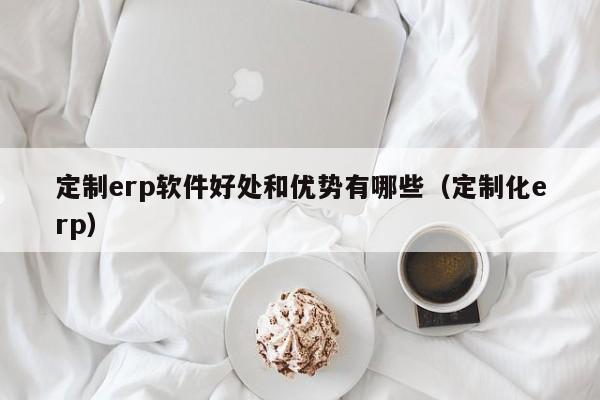 定制erp软件好处和优势有哪些（定制化erp）