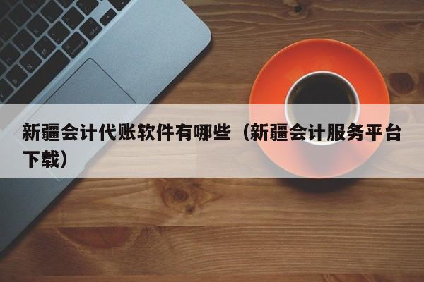 新疆会计代账软件有哪些（新疆会计服务平台下载）