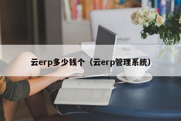 云erp多少钱个（云erp管理系统）