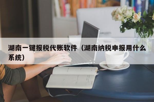 湖南一键报税代账软件（湖南纳税申报用什么系统）