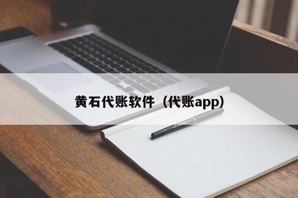 黄石代账软件（代账app）