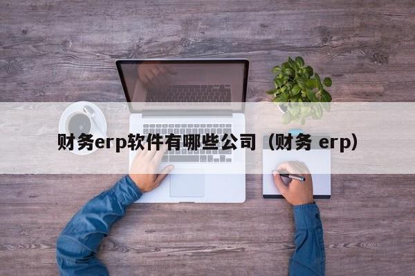 财务erp软件有哪些公司（财务 erp）