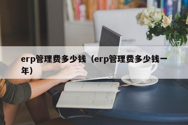 erp管理费多少钱（erp管理费多少钱一年）