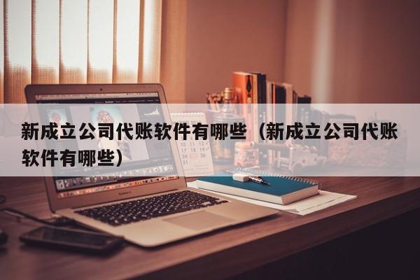 新成立公司代账软件有哪些（新成立公司代账软件有哪些）