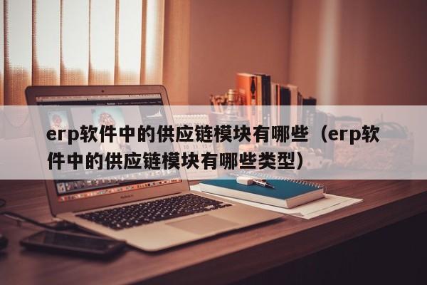 erp软件中的供应链模块有哪些（erp软件中的供应链模块有哪些类型）