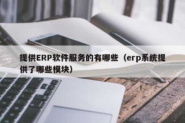 提供ERP软件服务的有哪些（erp系统提供了哪些模块）