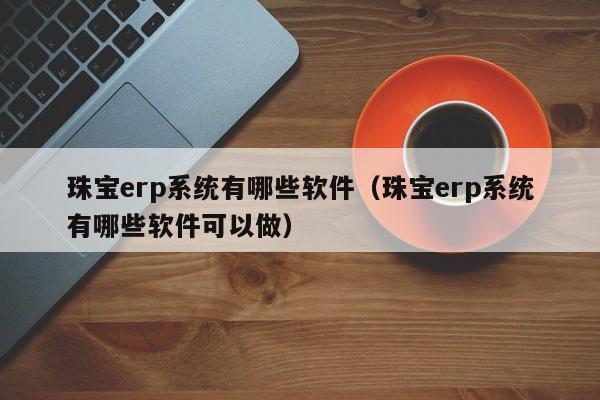 珠宝erp系统有哪些软件（珠宝erp系统有哪些软件可以做）