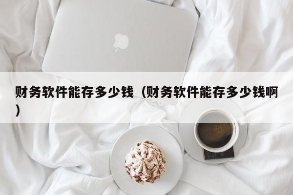 财务软件能存多少钱（财务软件能存多少钱啊）