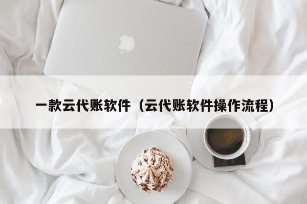 一款云代账软件（云代账软件操作流程）