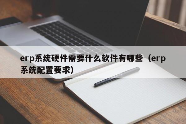 erp系统硬件需要什么软件有哪些（erp系统配置要求）