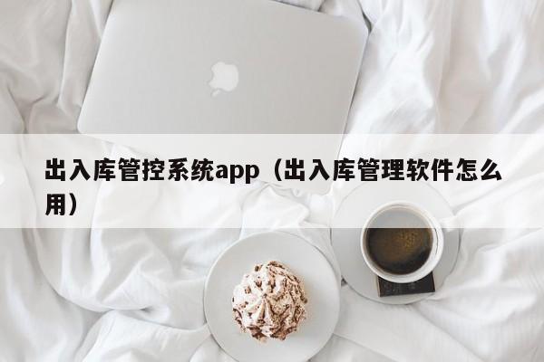 出入库管控系统app（出入库管理软件怎么用）