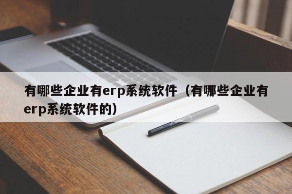 有哪些企业有erp系统软件（有哪些企业有erp系统软件的）