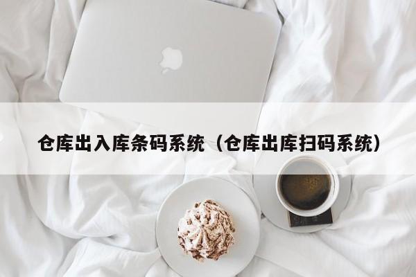 仓库出入库条码系统（仓库出库扫码系统）