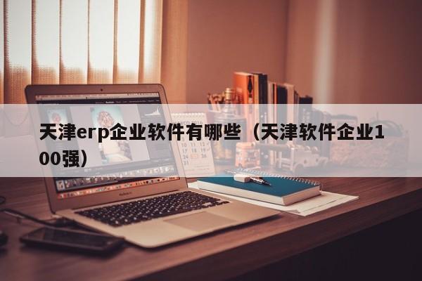 天津erp企业软件有哪些（天津软件企业100强）