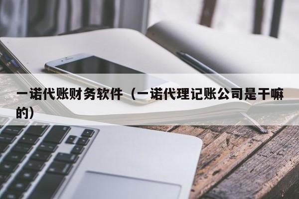 一诺代账财务软件（一诺代理记账公司是干嘛的）