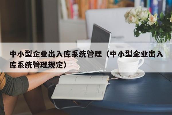 中小型企业出入库系统管理（中小型企业出入库系统管理规定）