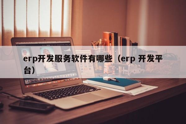 erp开发服务软件有哪些（erp 开发平台）