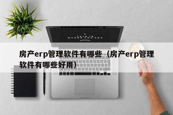 房产erp管理软件有哪些（房产erp管理软件有哪些好用）