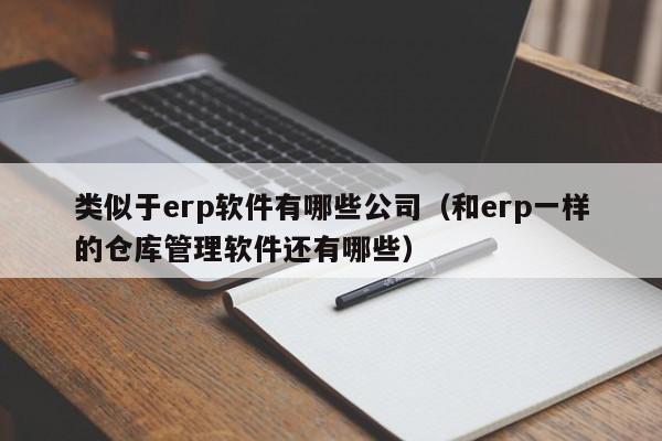 类似于erp软件有哪些公司（和erp一样的仓库管理软件还有哪些）