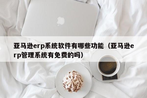 亚马逊erp系统软件有哪些功能（亚马逊erp管理系统有免费的吗）