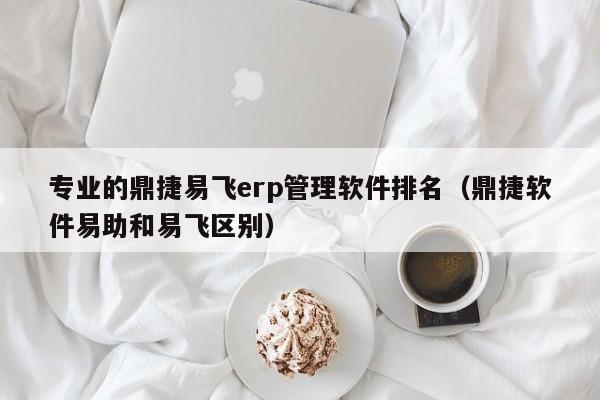 专业的鼎捷易飞erp管理软件排名（鼎捷软件易助和易飞区别）