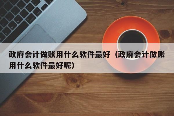 政府会计做账用什么软件最好（政府会计做账用什么软件最好呢）