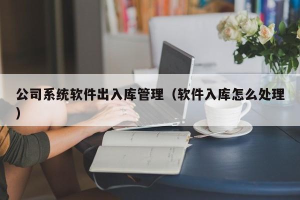 公司系统软件出入库管理（软件入库怎么处理）