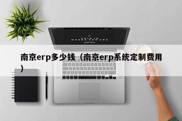 南京erp多少钱（南京erp系统定制费用）