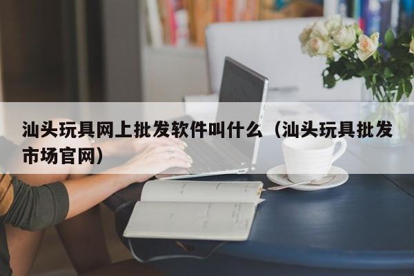 汕头玩具网上批发软件叫什么（汕头玩具批发市场官网）