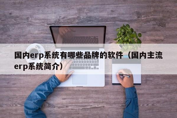 国内erp系统有哪些品牌的软件（国内主流erp系统简介）