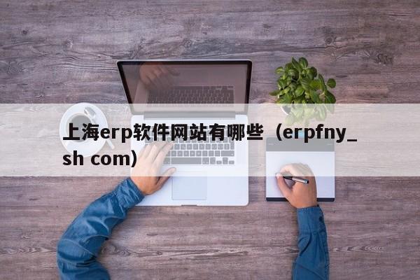 上海erp软件网站有哪些（erpfny_sh com）