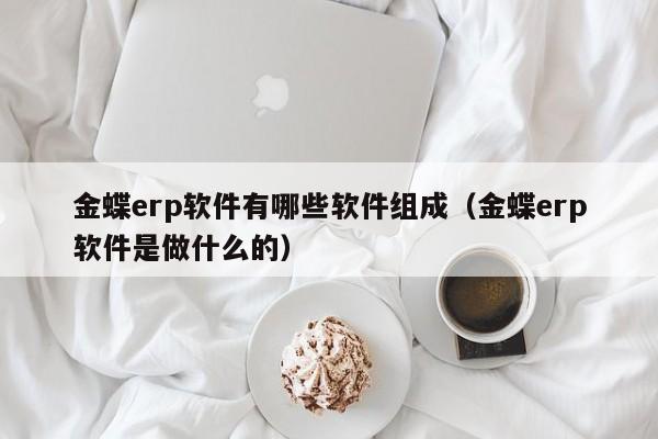 金蝶erp软件有哪些软件组成（金蝶erp软件是做什么的）