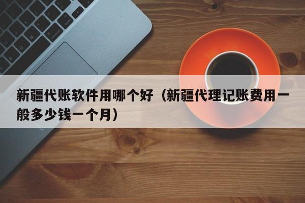 新疆代账软件用哪个好（新疆代理记账费用一般多少钱一个月）