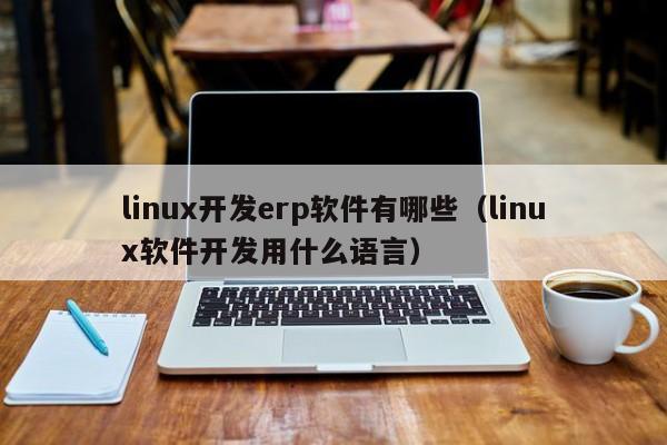 linux开发erp软件有哪些（linux软件开发用什么语言）