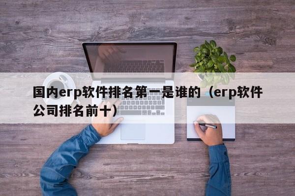 国内erp软件排名第一是谁的（erp软件公司排名前十）