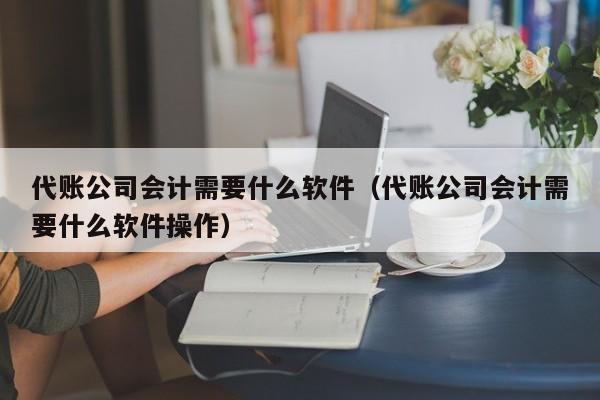 代账公司会计需要什么软件（代账公司会计需要什么软件操作）