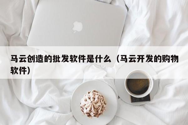 马云创造的批发软件是什么（马云开发的购物软件）