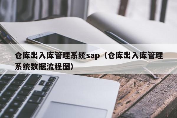 仓库出入库管理系统sap（仓库出入库管理系统数据流程图）