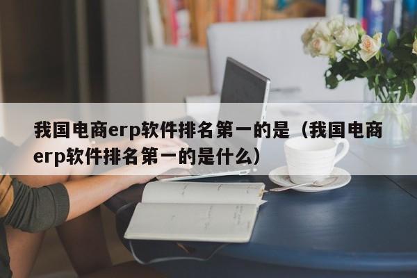 我国电商erp软件排名第一的是（我国电商erp软件排名第一的是什么）