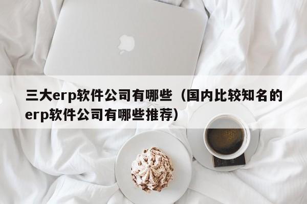 三大erp软件公司有哪些（国内比较知名的erp软件公司有哪些推荐）