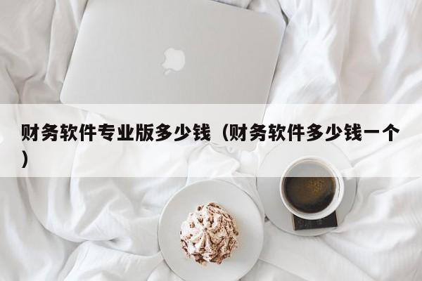 财务软件专业版多少钱（财务软件多少钱一个）